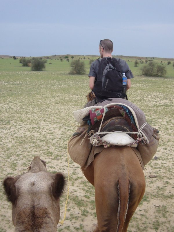 Travel - India - Rajasthan - Desert Camel Trip - Camel Safari